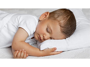 Toddler Pillow 14x19 with Pillowcase - Washable - Hypoallergenic - Made in USA